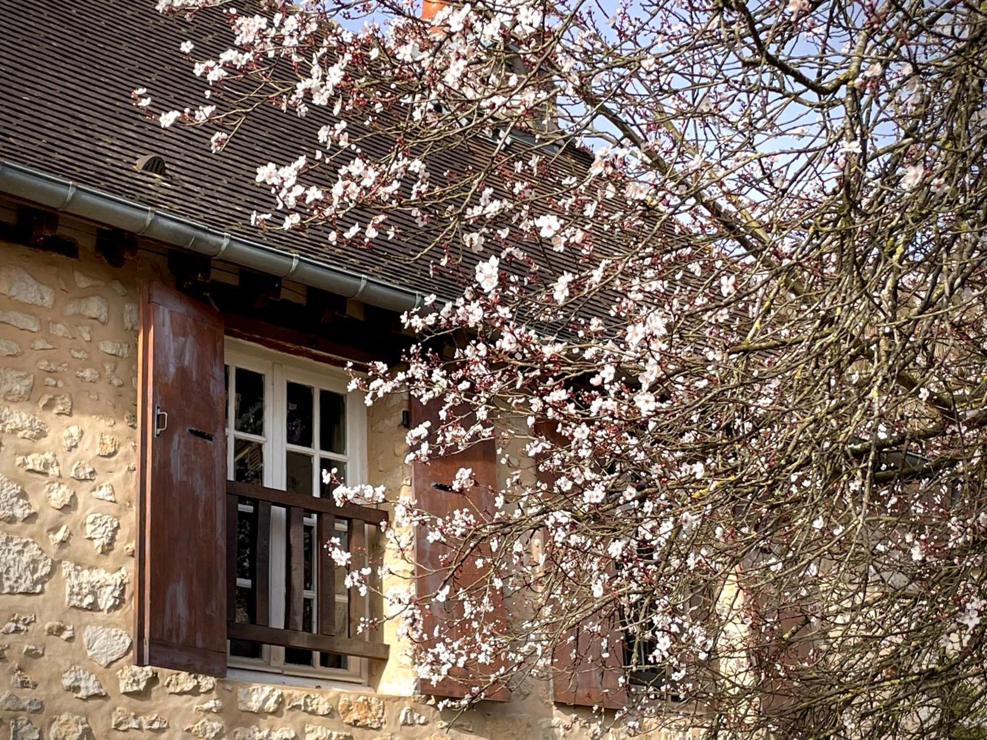 Evergreen Guesthouse Вернон Екстериор снимка